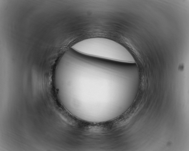 X0000100190259200805300731
