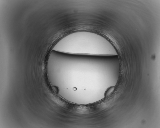 X0000100190261200805300731