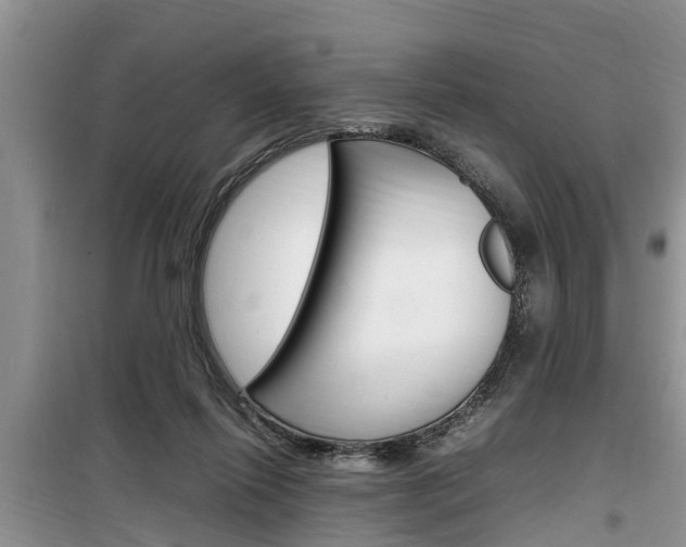 X0000100190262200805300731
