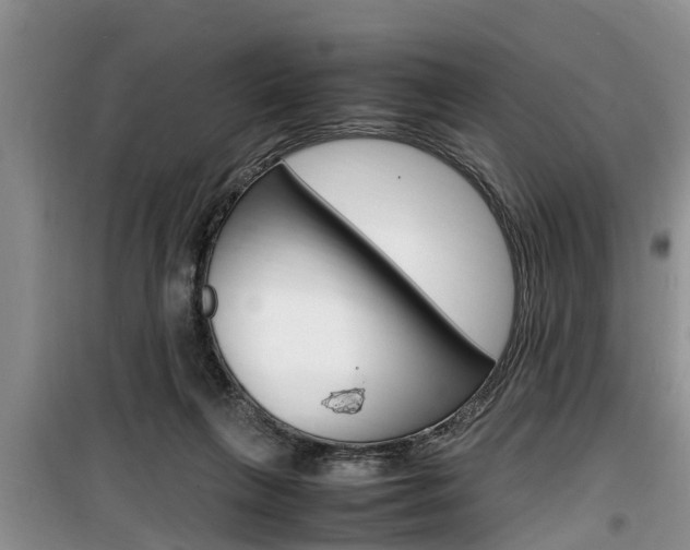 X0000100190263200805300731