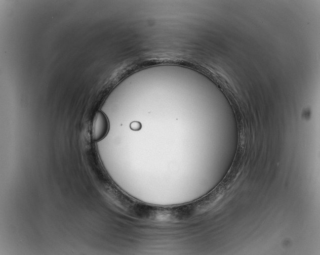 X0000100190264200805300731