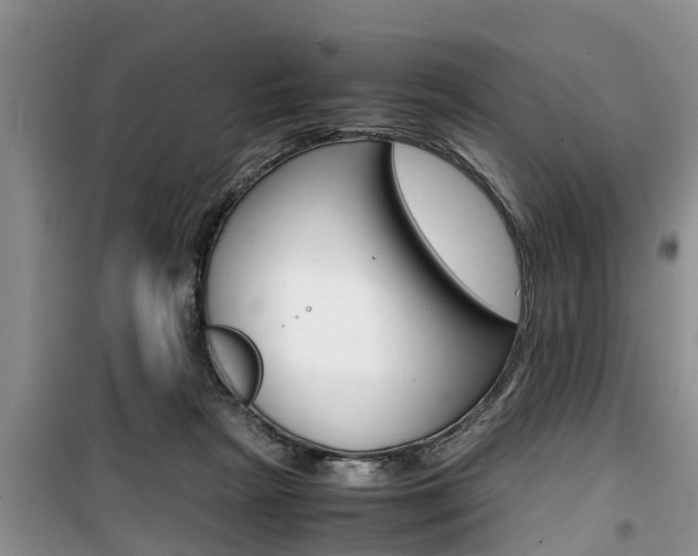 X0000100190265200805300731