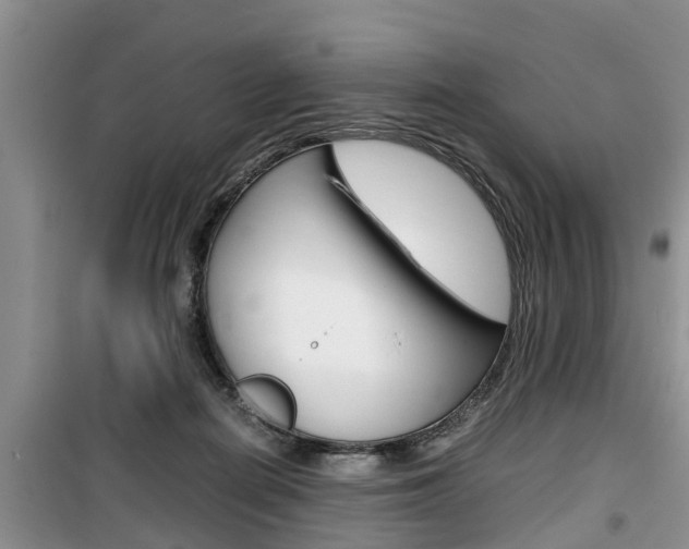 X0000100190266200805300731