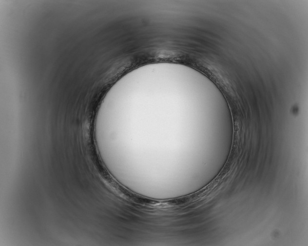 X0000100190269200805300731