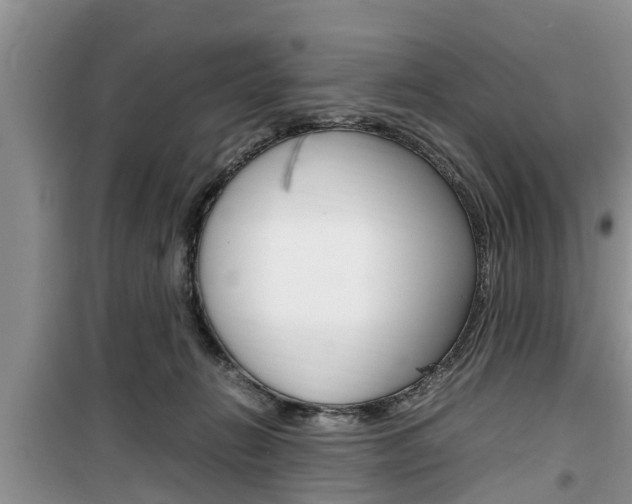 X0000100190270200805300731