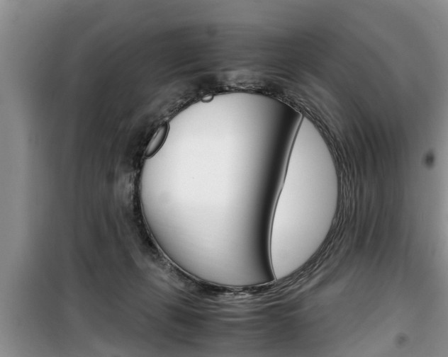 X0000100190271200805300731