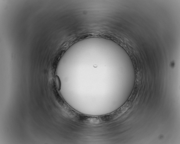 X0000100190272200805300731