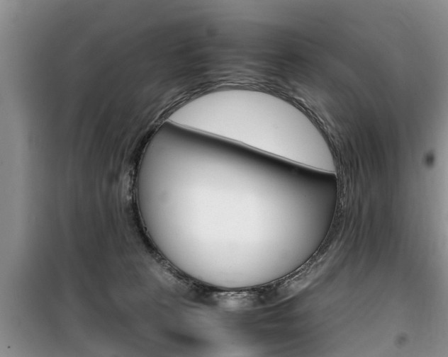 X0000100190273200805300731
