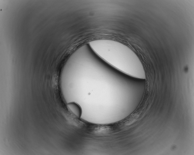 X0000100190274200805300731