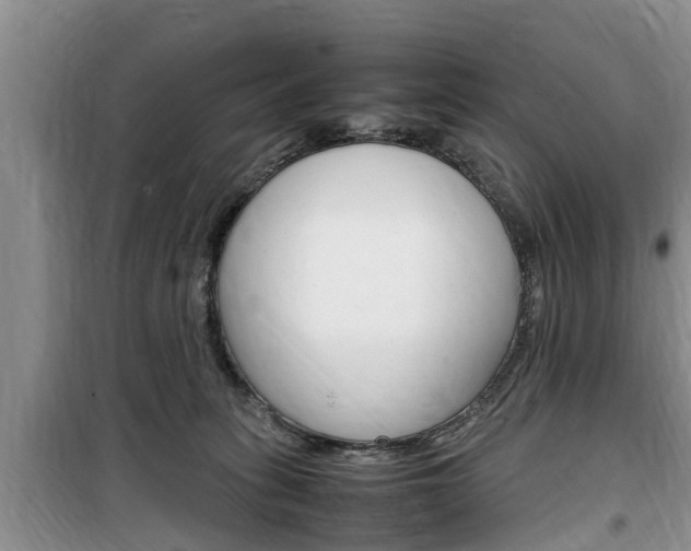 X0000100190275200805300731