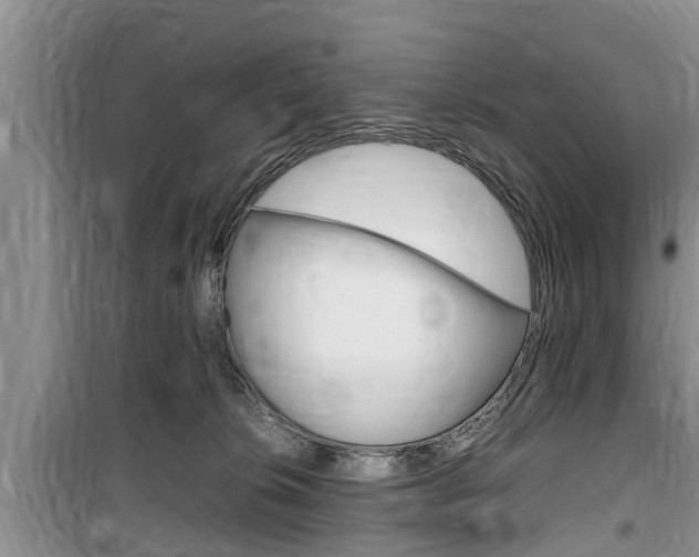 X0000100190276200805300731