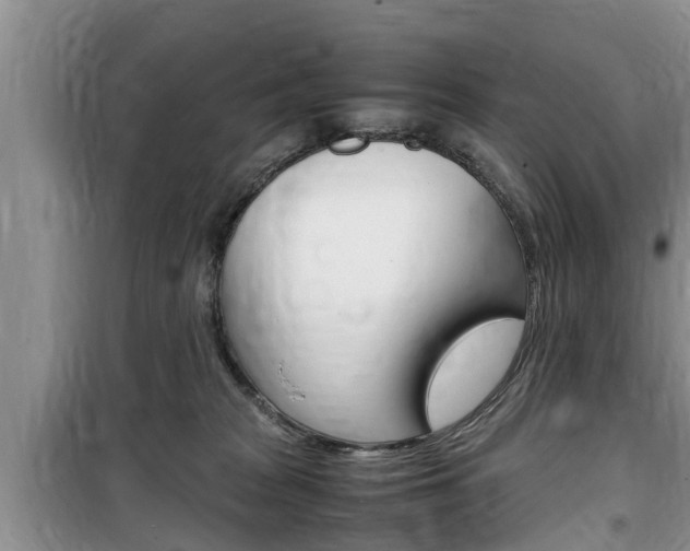 X0000100190277200805300731