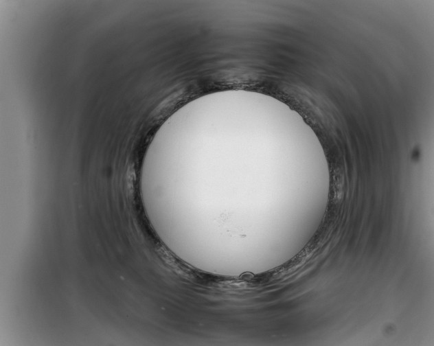 X0000100190279200805300731