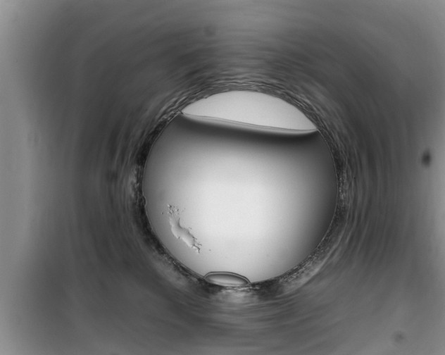X0000100190280200805300731