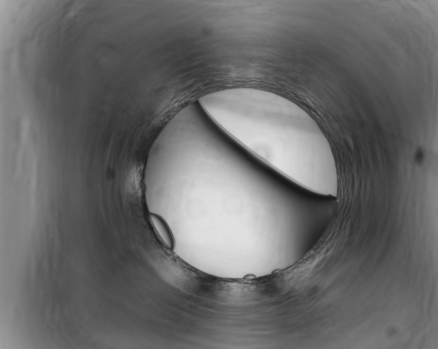 X0000100190286200805300731