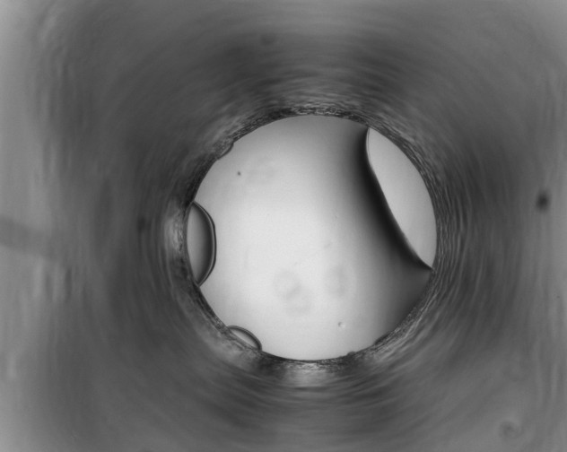 X0000100190287200805300731