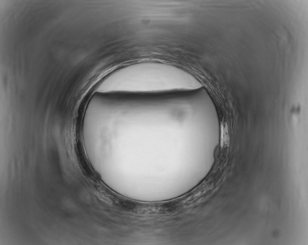 X0000100190291200805300731
