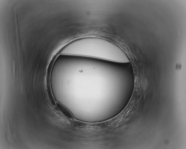 X0000100190292200805300731