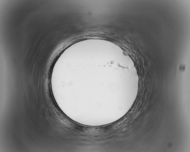 X0000100190293200805300731