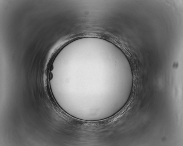 X0000100190294200805300731