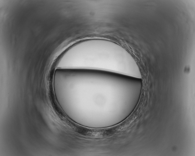 X0000100190295200805300731