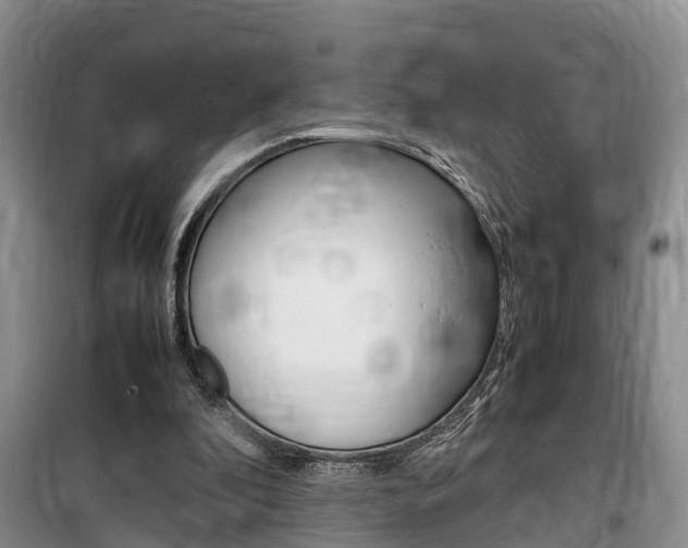 X0000100190296200805300731