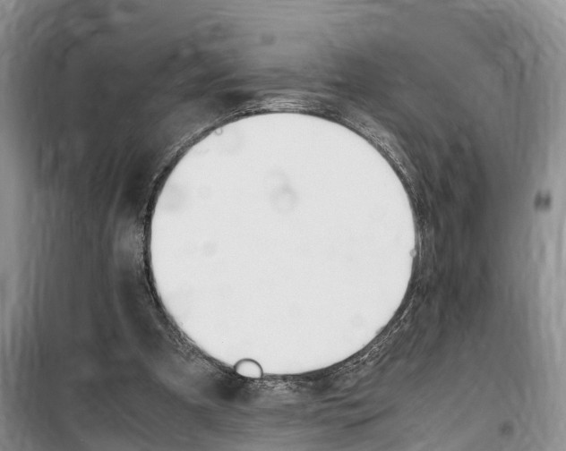 X0000100190297200805300731