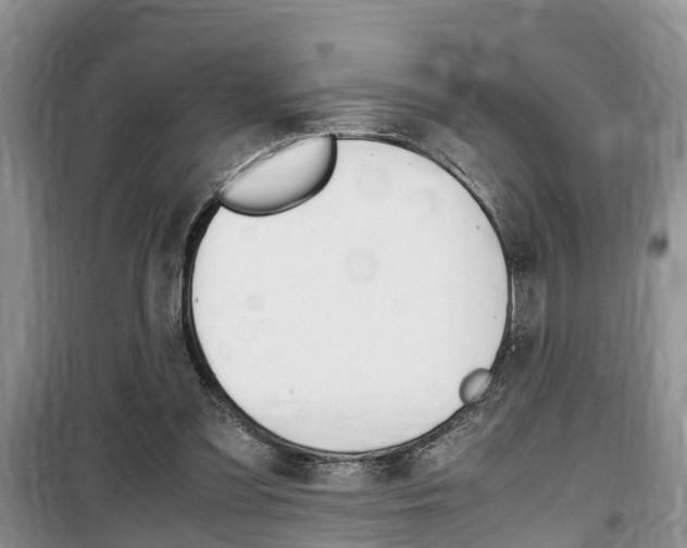 X0000100190301200805300730