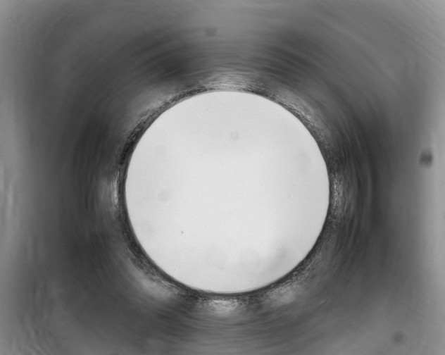 X0000100190302200805300730