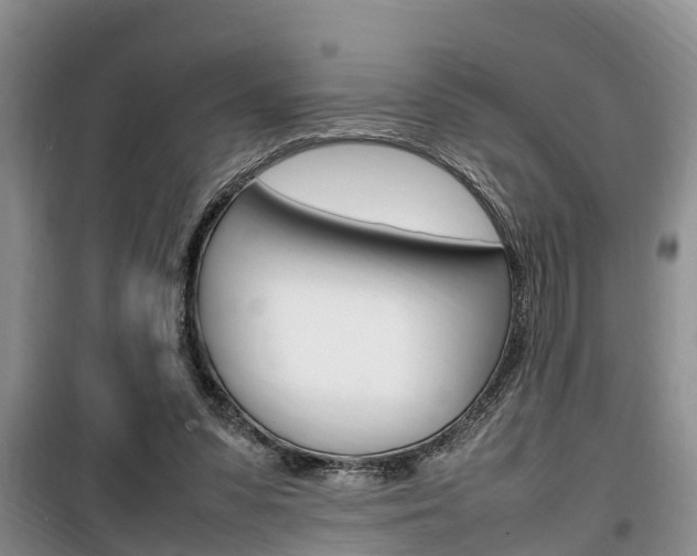 X0000100190303200805300730