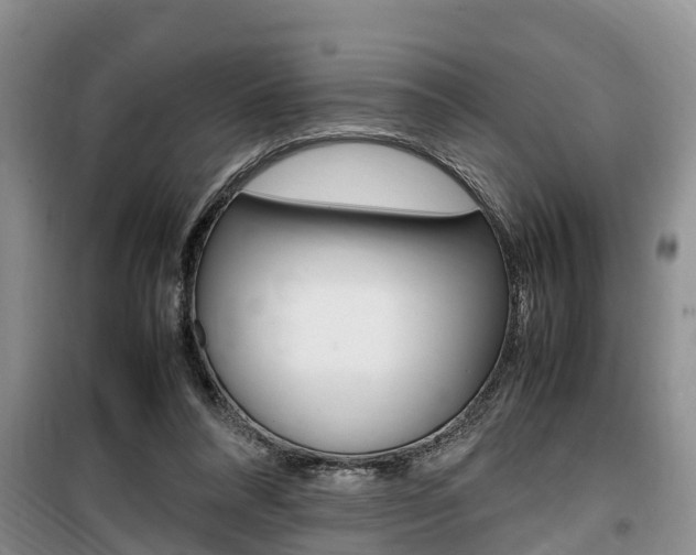 X0000100190304200805300730