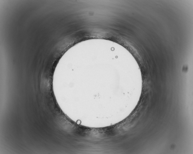 X0000100190305200805300730