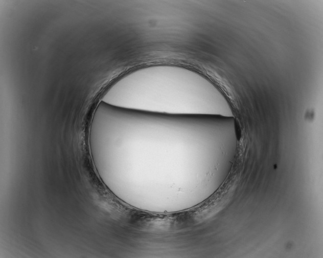 X0000100190306200805300730