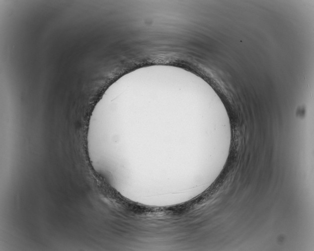 X0000100190307200805300730