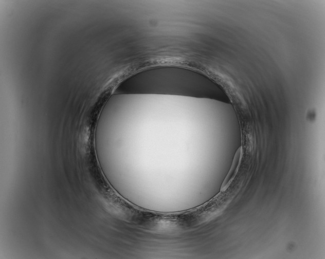 X0000100190308200805300730