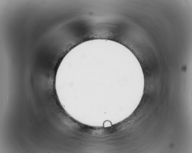 X0000100190309200805300730