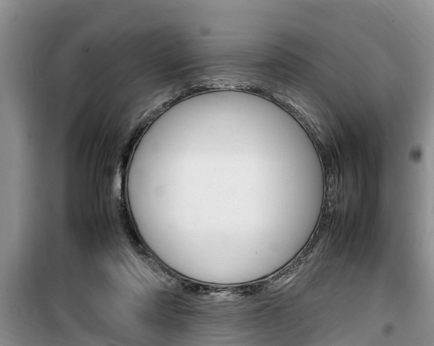 X0000100190310200805300730