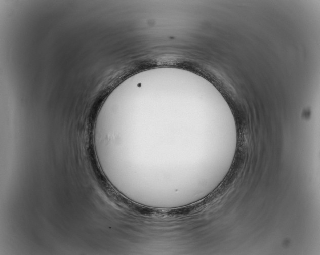 X0000100190311200805300730