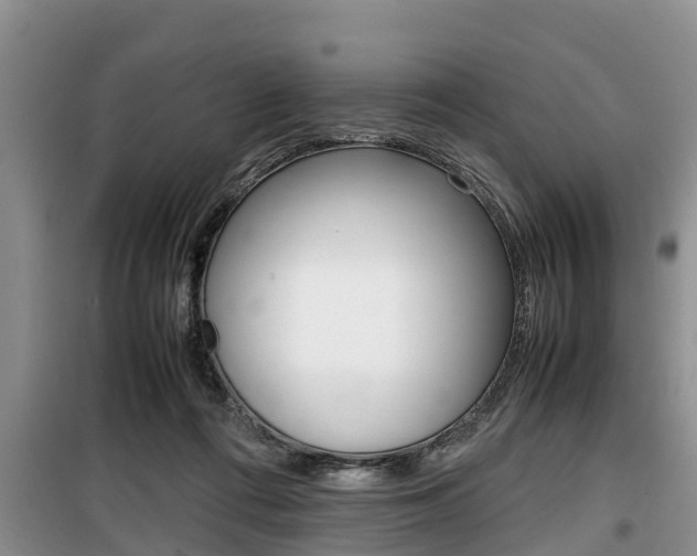 X0000100190312200805300730