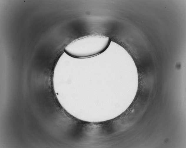 X0000100190313200805300730