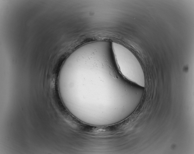 X0000100190315200805300730
