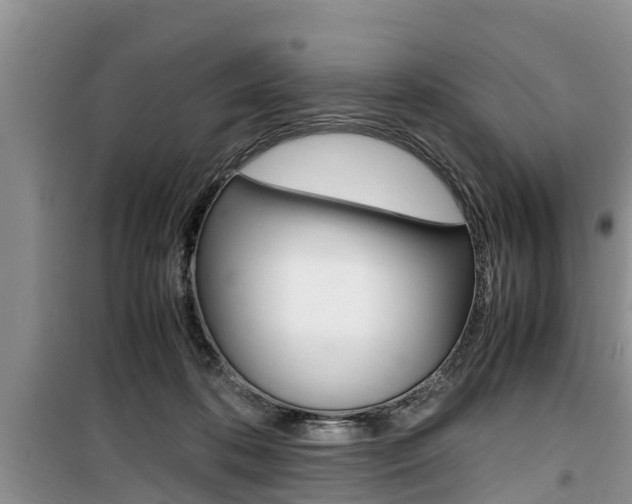 X0000100190316200805300730