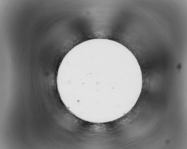 X0000100190317200805300730