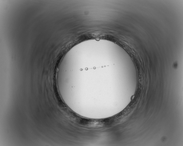 X0000100190319200805300730