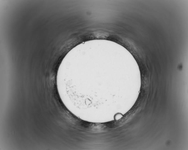 X0000100190321200805300730