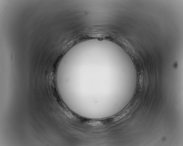 X0000100190322200805300730