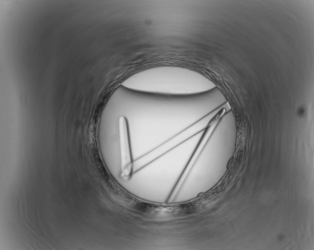X0000100190323200805300730