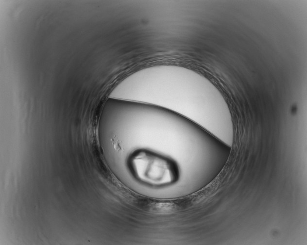 X0000100190324200805300730