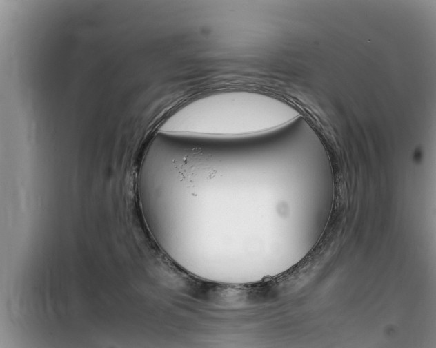 X0000100190325200805300730