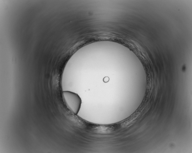 X0000100190326200805300730